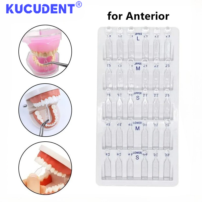 30pcs/Set Dental Veneer Mould  - Teeth Whitening Moulds ulasan dan harga