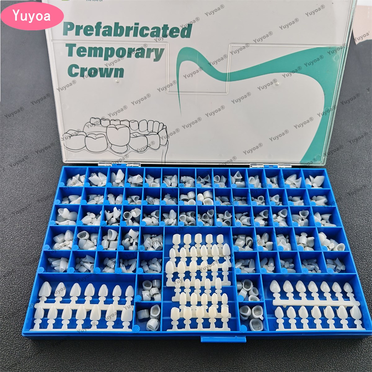 1Set Dental Premolar Molars An - Teeth Whitening Moulds ulasan dan harga